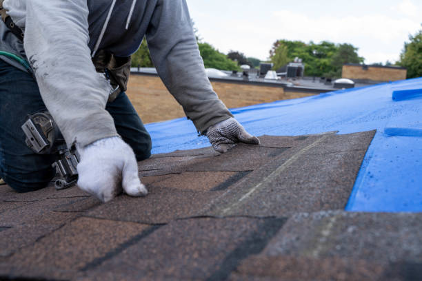 Best Roof Maintenance Services  in Gibson City, IL