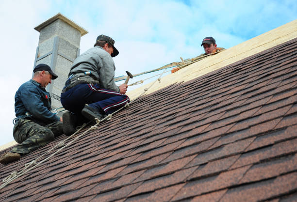Best Roof Inspection Near Me  in Gibson City, IL